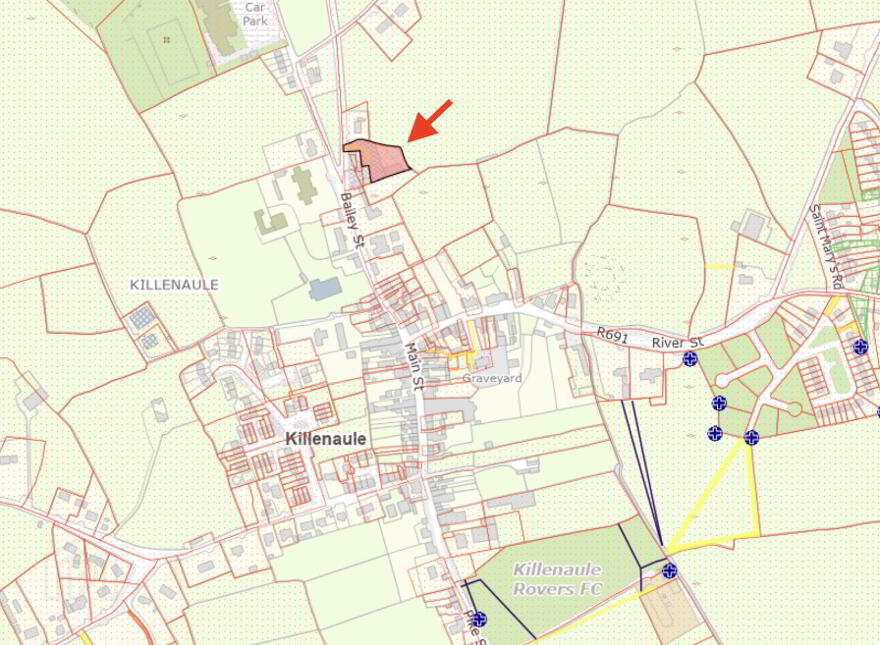 Bourke's Garage, Bailey Street, Killenaule, E41TN56