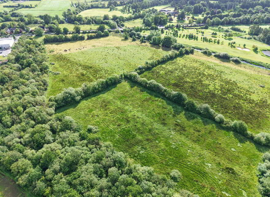 C. 43 Acres, Turtulla / Clongour, Thurles