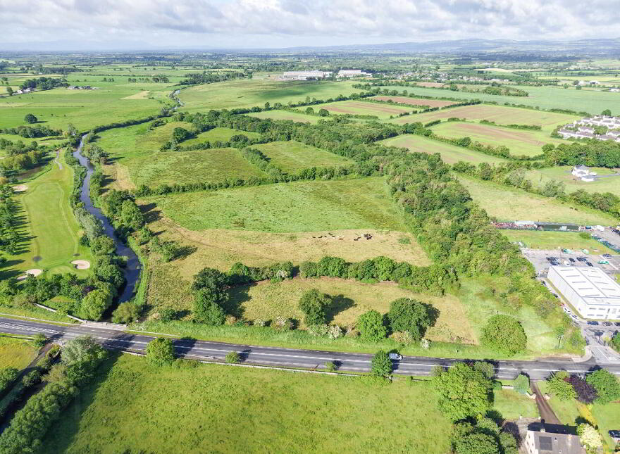 C. 43 Acres, Turtulla / Clongour, Thurles