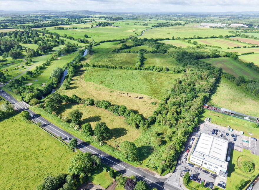 C. 43 Acres, Turtulla / Clongour, Thurles