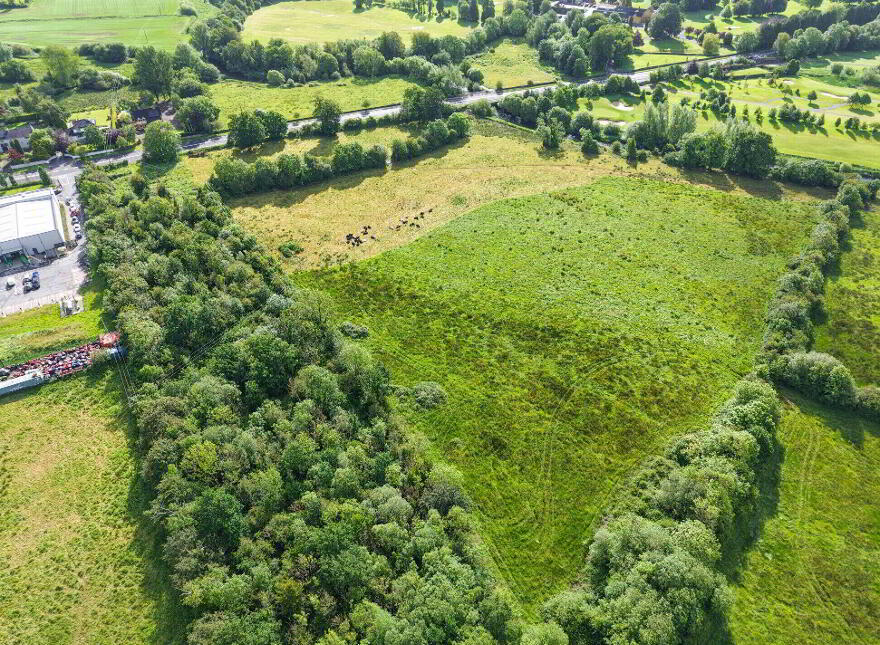 C. 43 Acres, Turtulla / Clongour, Thurles