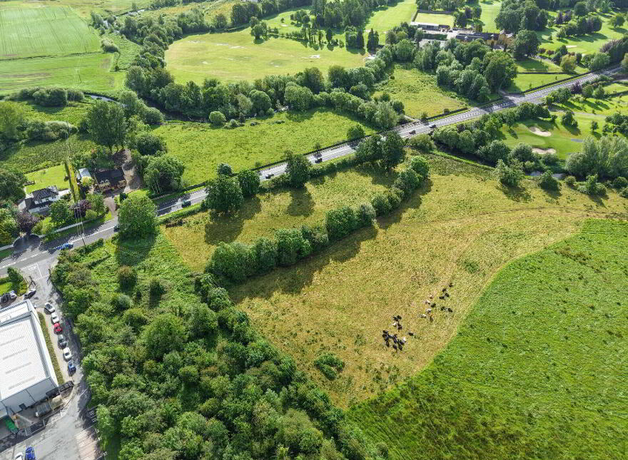 C. 43 Acres, Turtulla / Clongour, Thurles