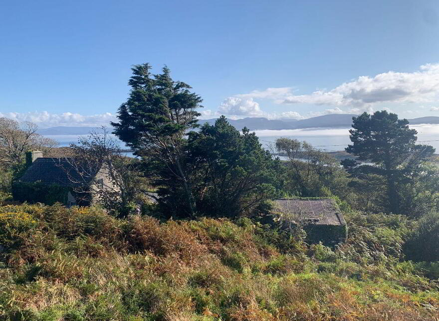 Castlecove, Castlecove, V93E6V9
