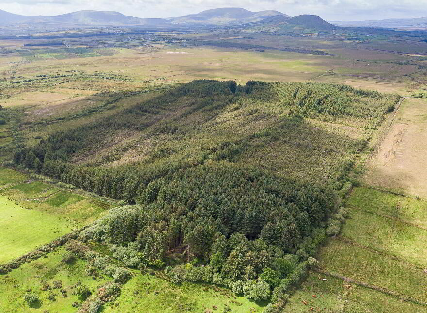 An Garrai Glas, Cahersiveen