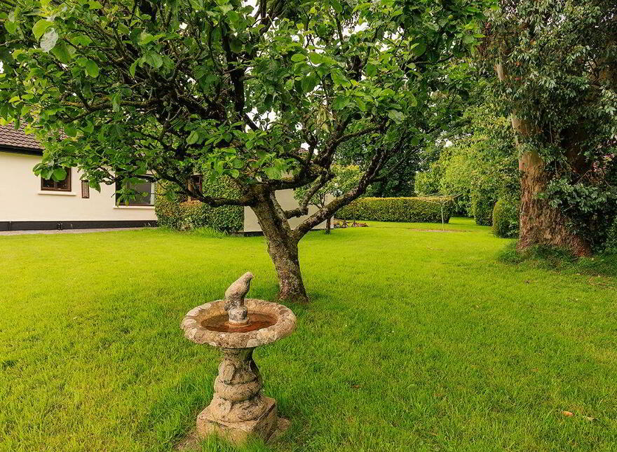 Affane, Cappoquin, P51F20X