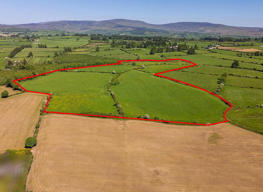 Circa 40 Acres, Touraneena, Ballinamult
