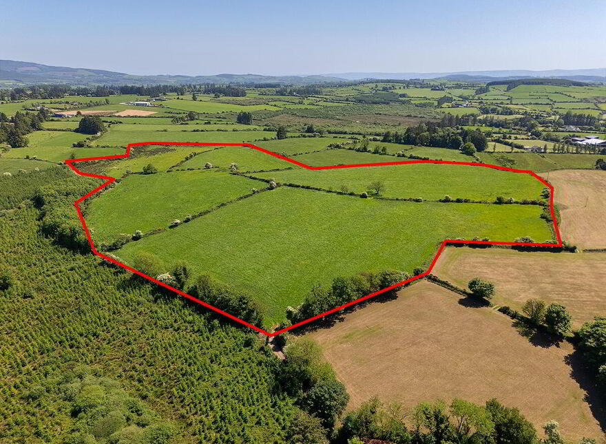 Circa 40 Acres, Touraneena, Ballinamult