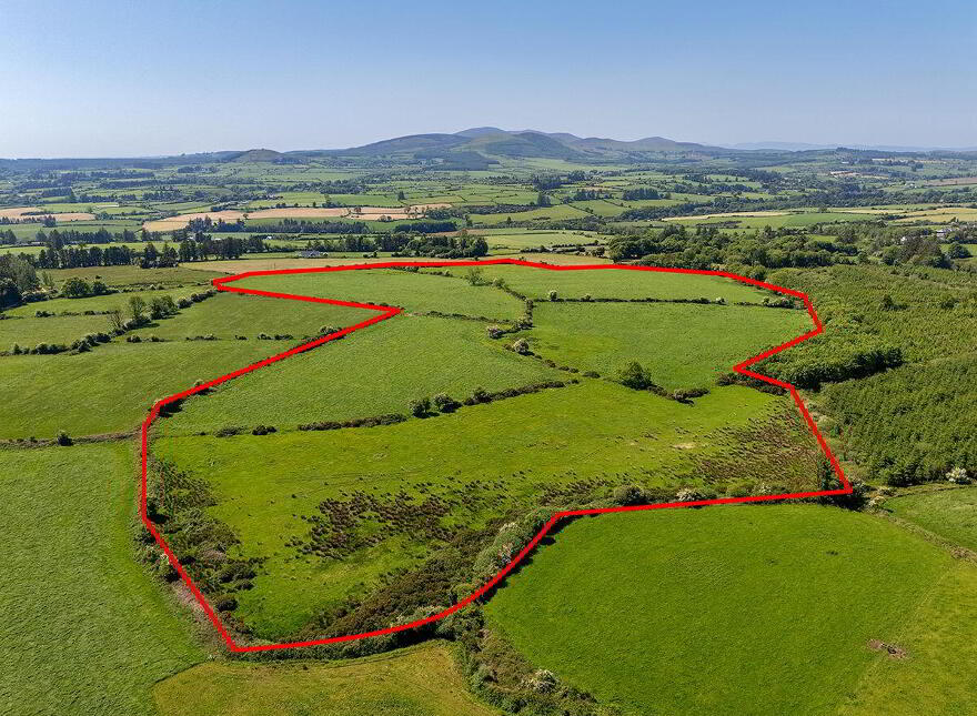 Circa 40 Acres, Touraneena, Ballinamult