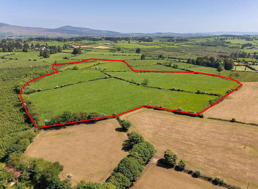 Circa 40 Acres, Touraneena, Ballinamult