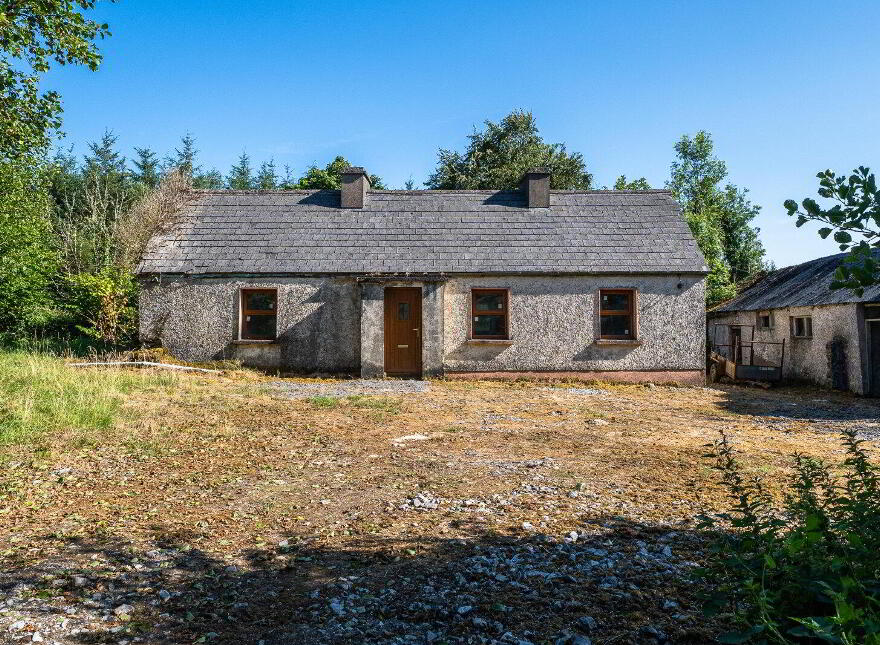 Derrylow, Rn3682f (For ID), Croghan, F52YP99