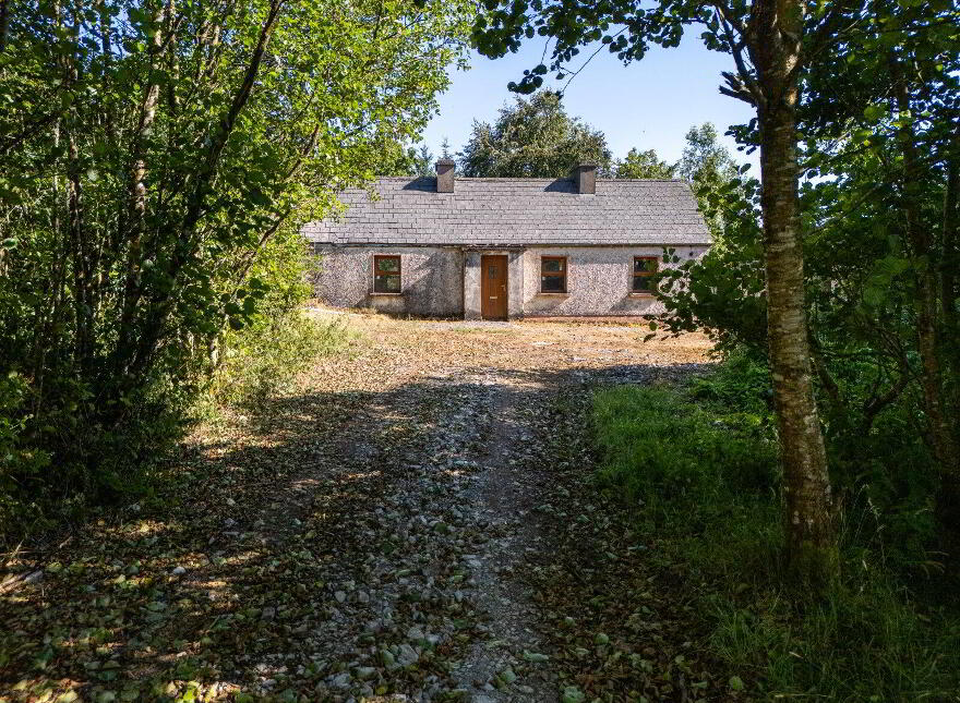 Derrylow, Rn3682f (For ID), Croghan, F52YP99 photo
