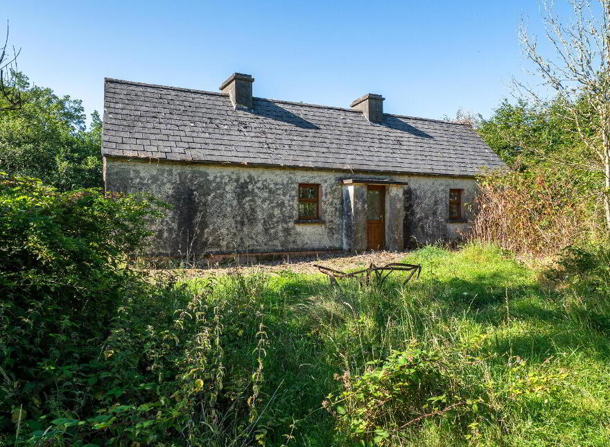 Derrylow, Rn3682f (For ID), Croghan, F52YP99