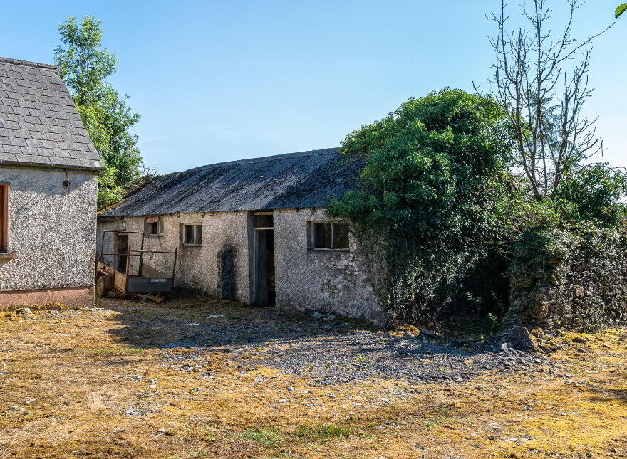Derrylow, Rn3682f (For ID), Croghan, F52YP99