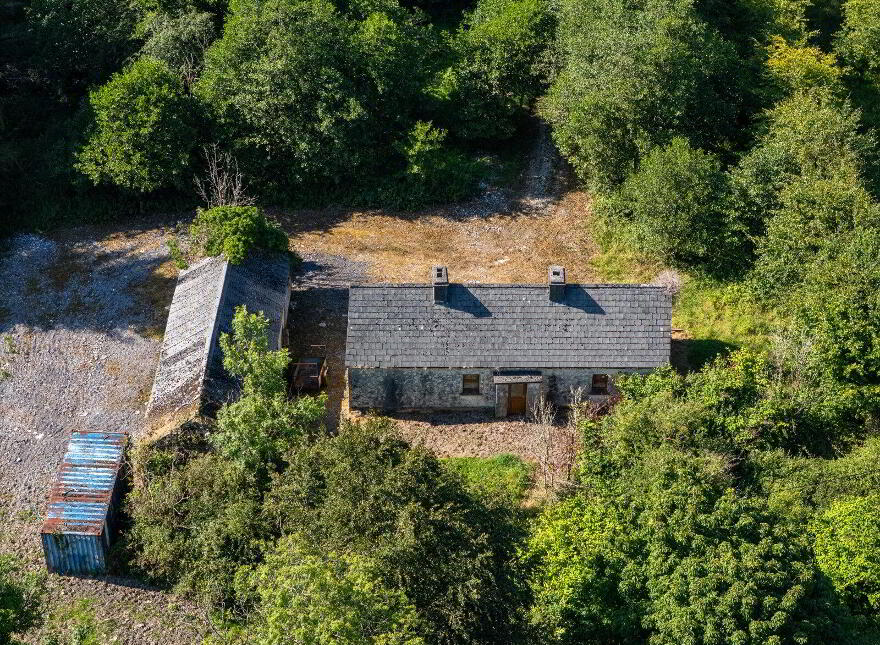 Derrylow, Rn3682f (For ID), Croghan, F52YP99