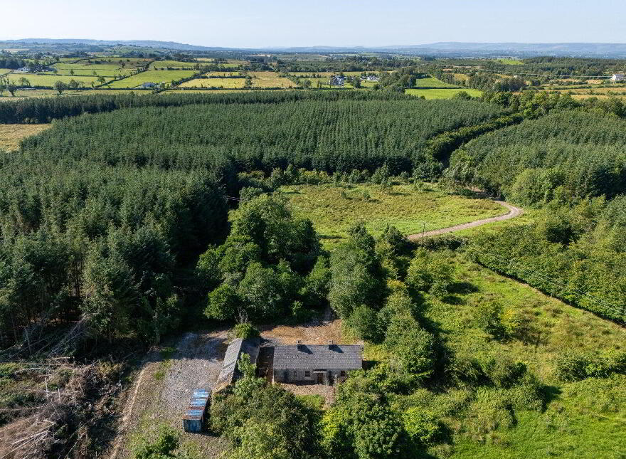 Derrylow, Rn3682f (For ID), Croghan, F52YP99