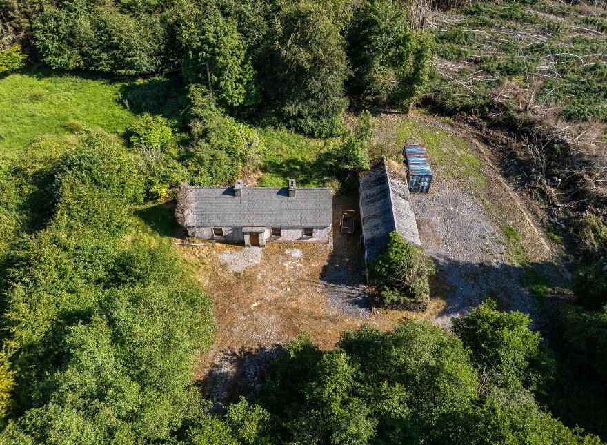 Derrylow, Rn3682f (For ID), Croghan, F52YP99