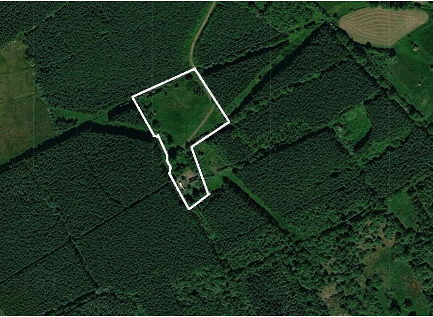 Derrylow, Rn3682f (For ID), Croghan, F52YP99