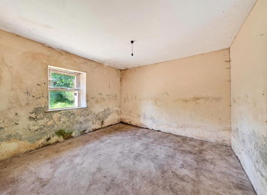 Derrylow, Rn3682f (For ID), Croghan, F52YP99