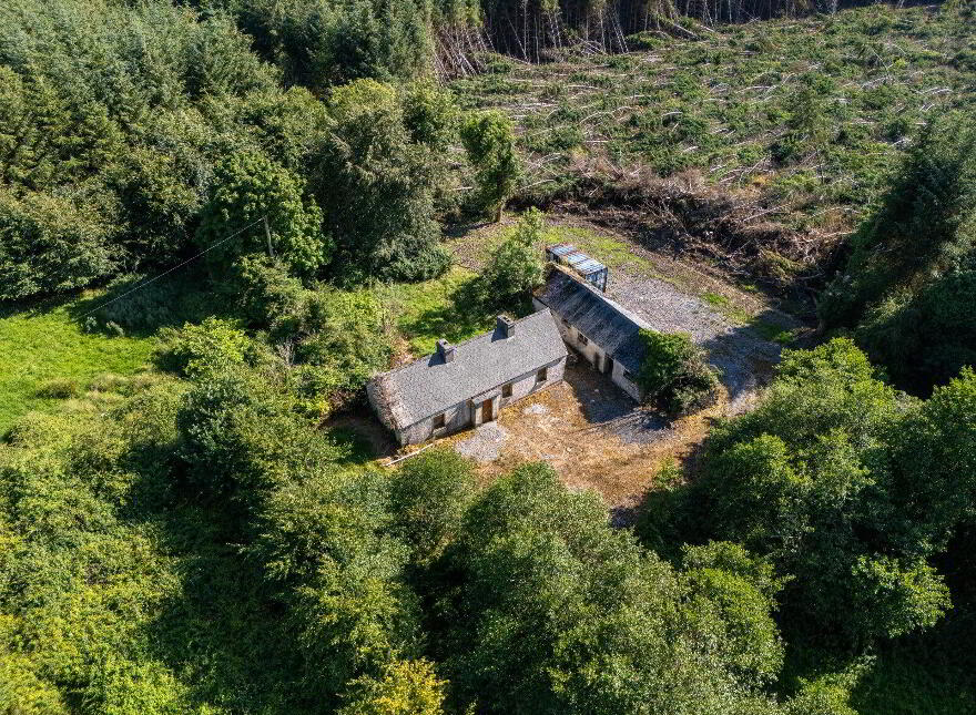 Derrylow, Rn3682f (For ID), Croghan, F52YP99