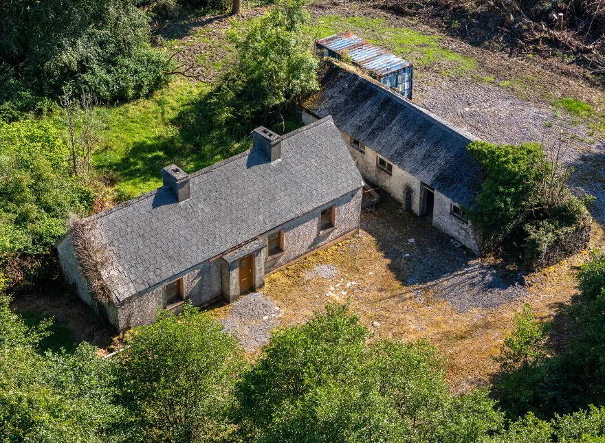 Derrylow, Rn3682f (For ID), Croghan, F52YP99