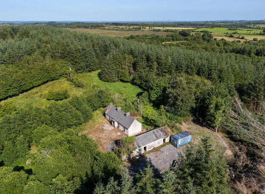 Derrylow, Rn3682f (For ID), Croghan, F52YP99