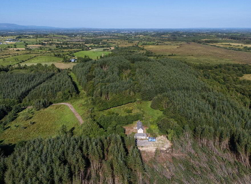 Derrylow, Rn3682f (For ID), Croghan, F52YP99