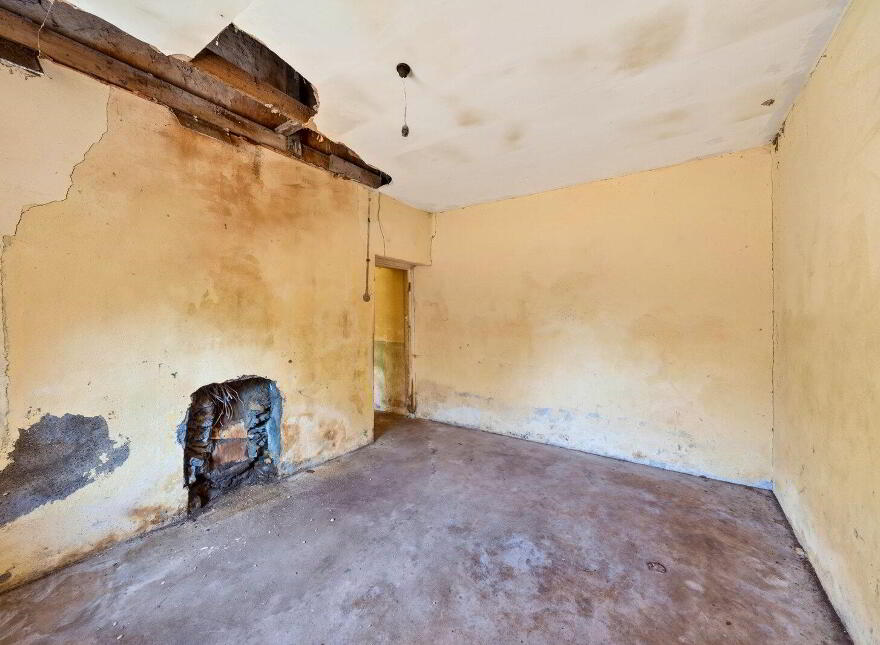 Derrylow, Rn3682f (For ID), Croghan, F52YP99