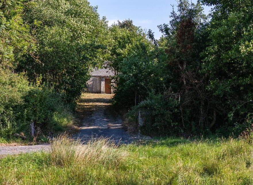 Derrylow, Rn3682f (For ID), Croghan, F52YP99