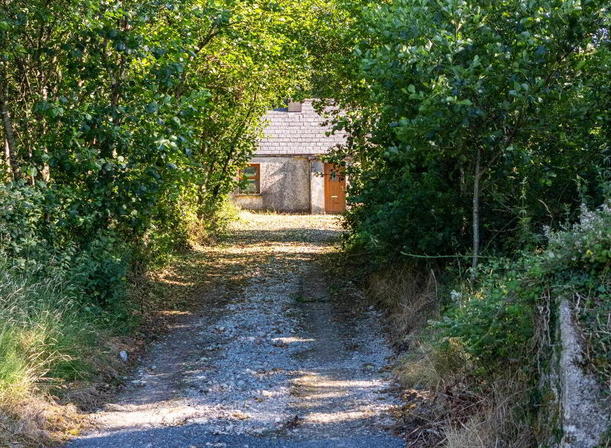 Derrylow, Rn3682f (For ID), Croghan, F52YP99