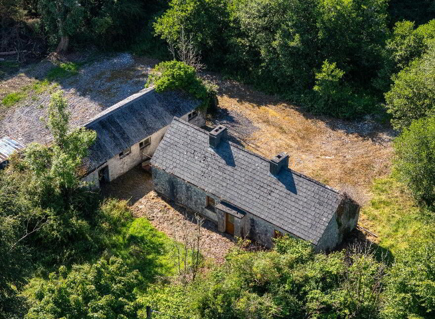 Derrylow, Rn3682f (For ID), Croghan, F52YP99
