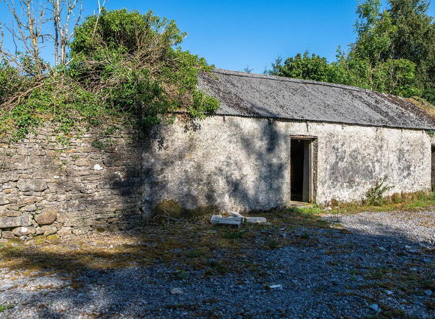 Derrylow, Rn3682f (For ID), Croghan, F52YP99