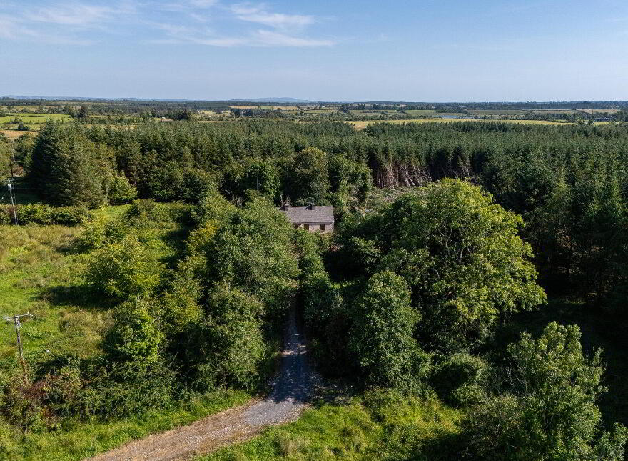 Derrylow, Rn3682f (For ID), Croghan, F52YP99