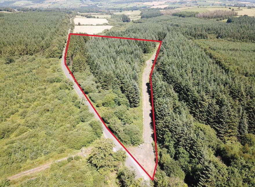 Forestry Land At Smithstown, Mullinavat