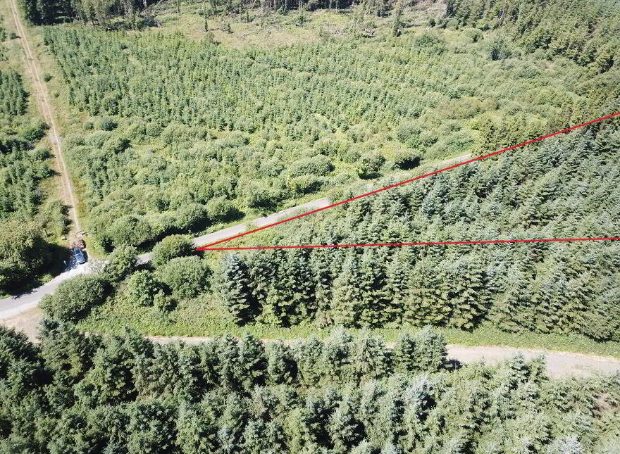 Forestry Land At Smithstown, Mullinavat