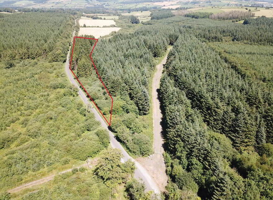 Forestry Land At Smithstown, Mullinavat