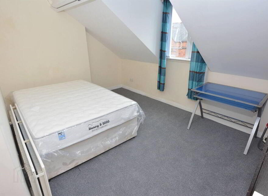 9 Landseer Street, Belfast, BT9 5AL