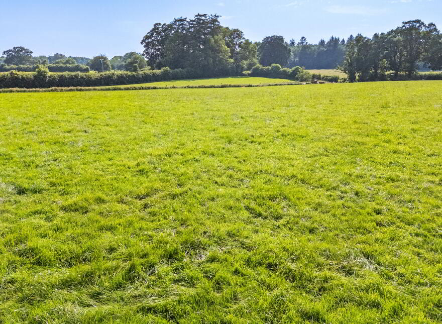 Whole: Lands & Cottage, Lisnavagh, Rathvilly, R93K162