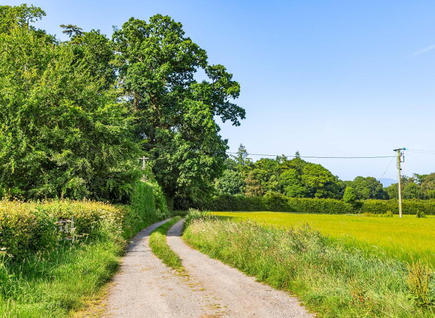 Lot 3 - Gatekeeper's Cottage, Lisnavagh, Rathvilly, R93K162