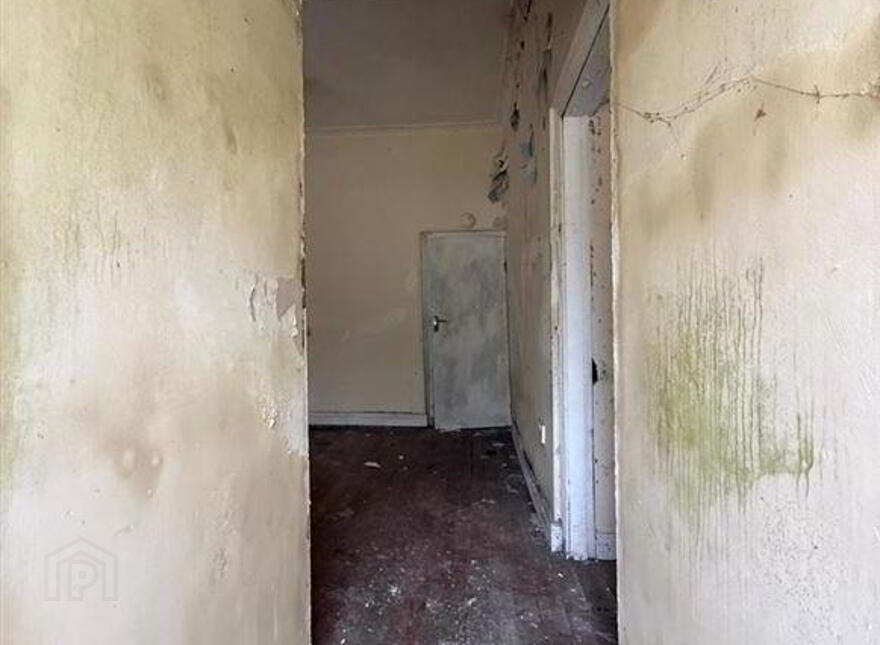 Aghalustia, Ballaghaderreen, F45VF68