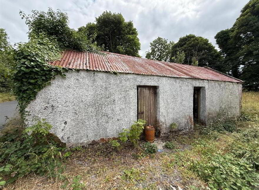 Aghalustia, Ballaghaderreen, F45VF68
