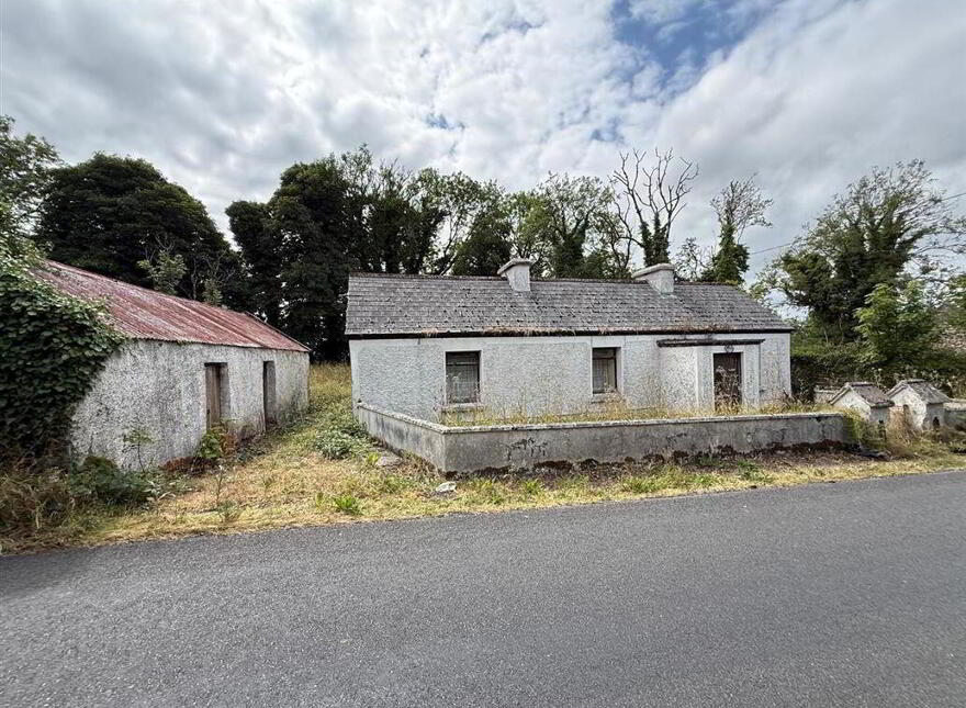 Aghalustia, Ballaghaderreen, F45VF68