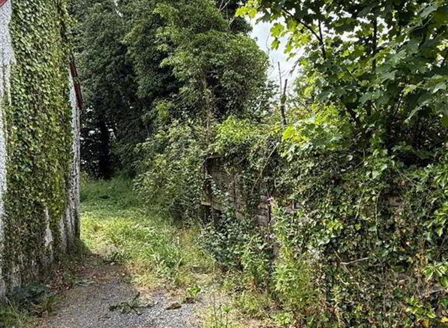Aghalustia, Ballaghaderreen, F45VF68