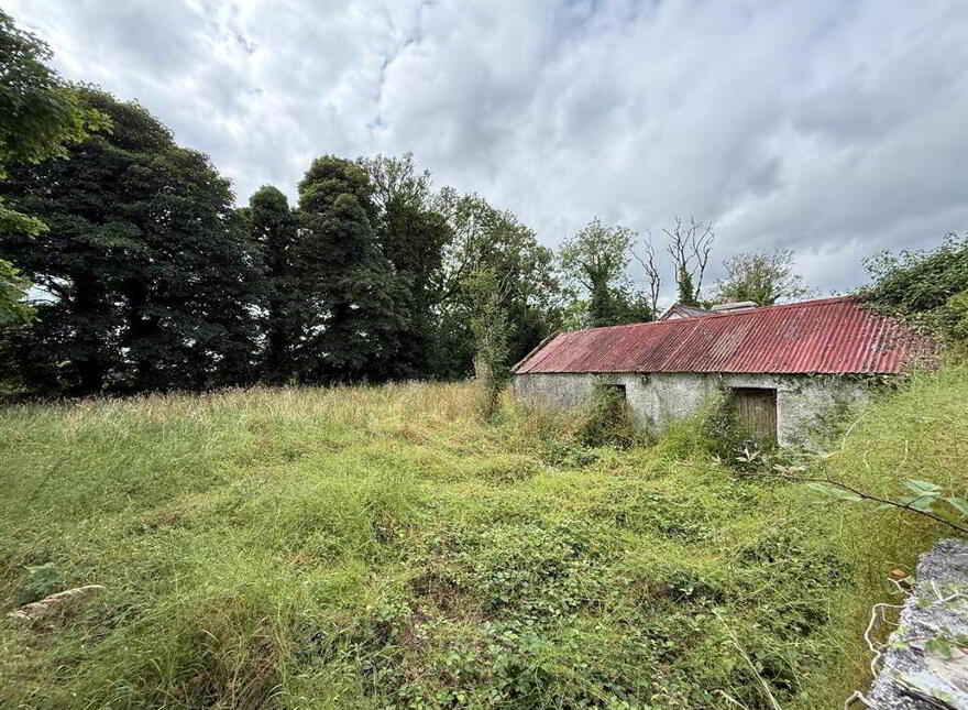 Aghalustia, Ballaghaderreen, F45VF68