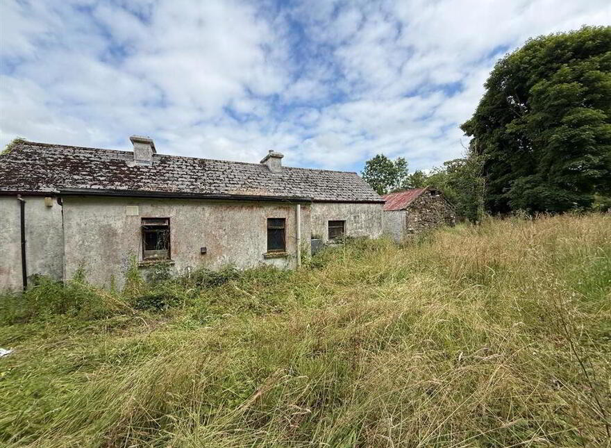 Aghalustia, Ballaghaderreen, F45VF68