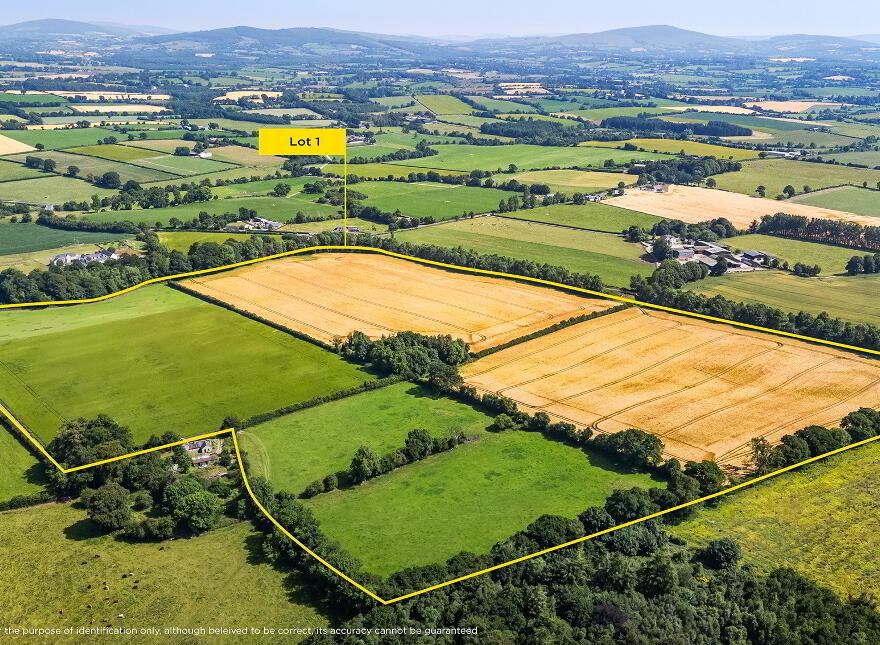 Lot 1 - South Land, Lisnavagh, Rathvilly, R93K162 photo