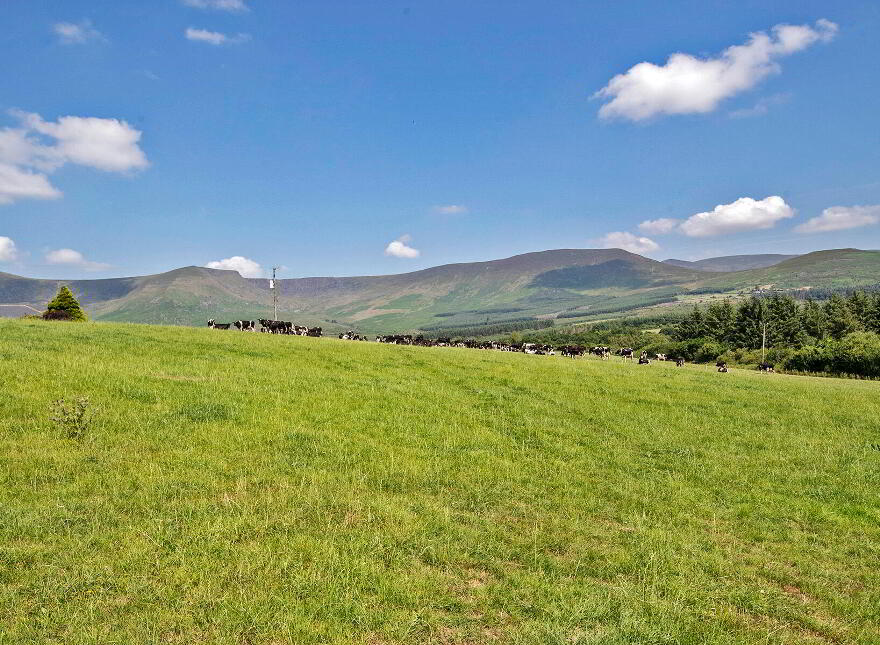 Cutteen, Killrossanty, Lemybrien, X42E448