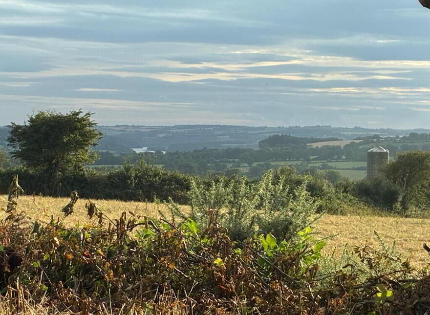 Ballynamultina, Clashmore, P36EH92