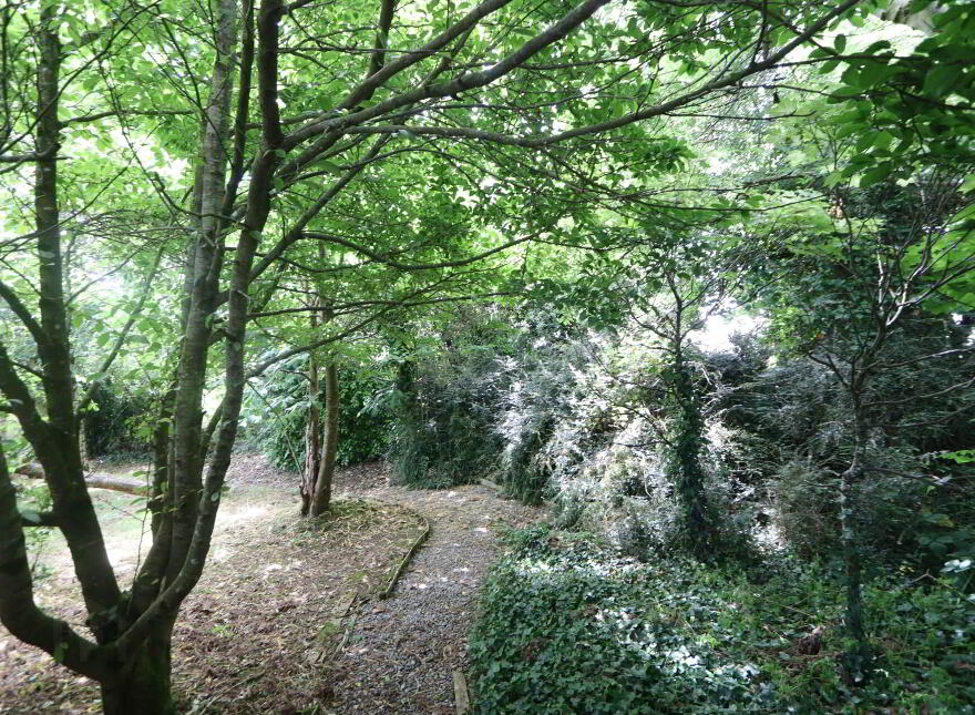 Ballinscaula, Kilmallock, V35FK80
