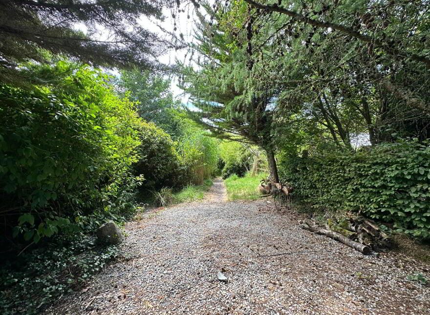 Ballinscaula, Kilmallock, V35FK80