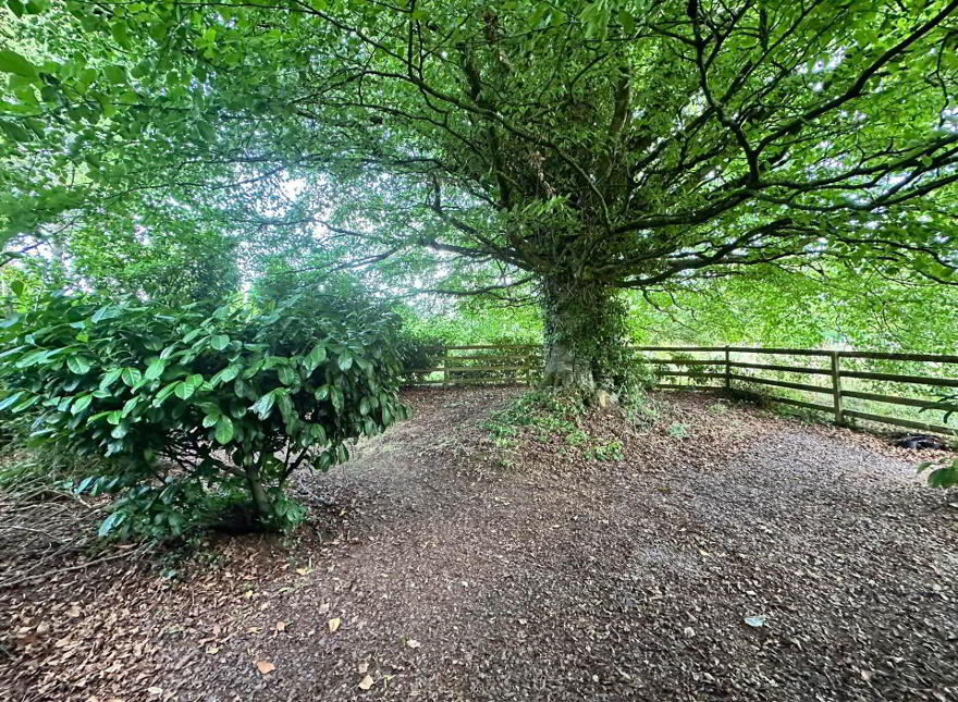 Ballinscaula, Kilmallock, V35FK80